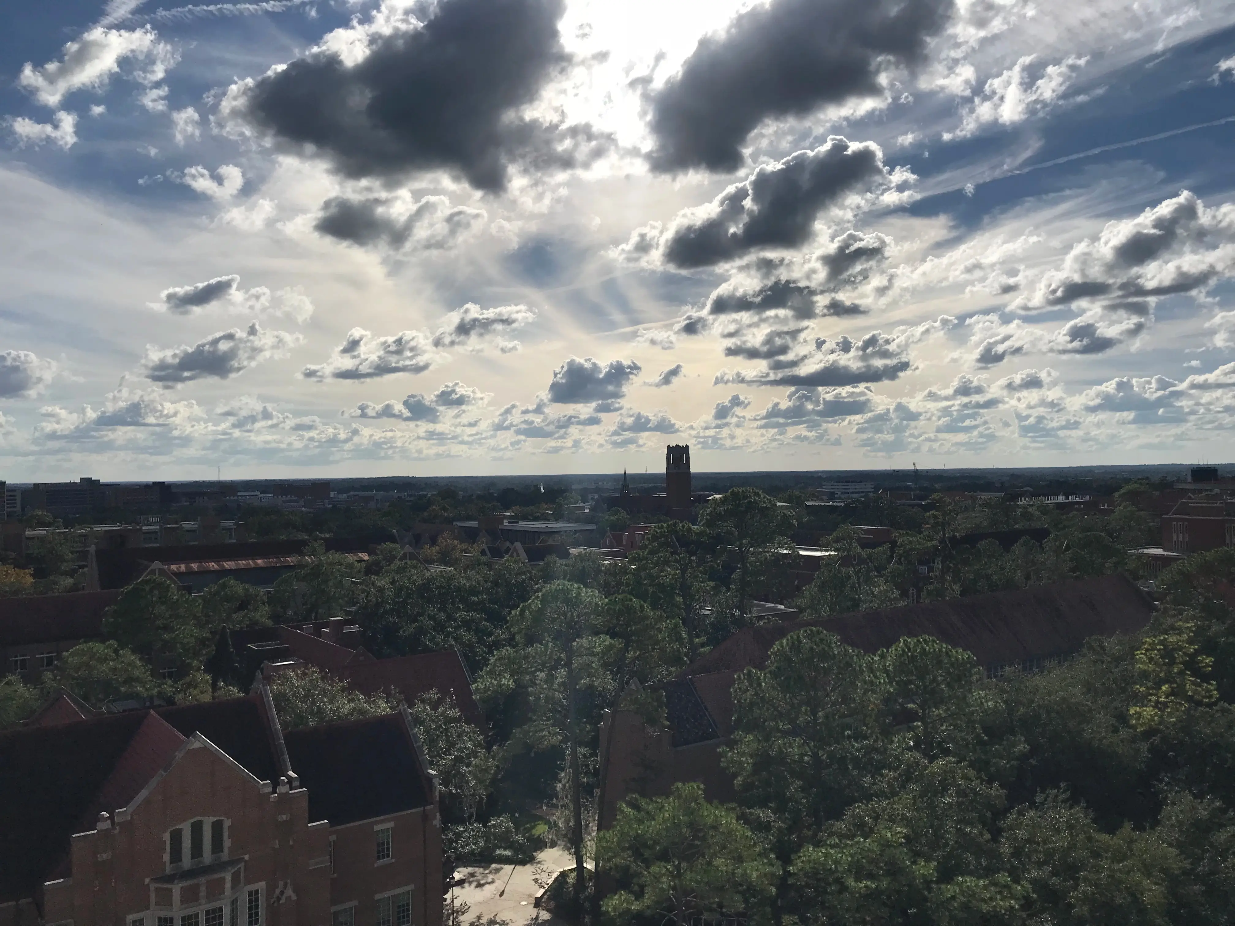 Alma Mater - University of Florida